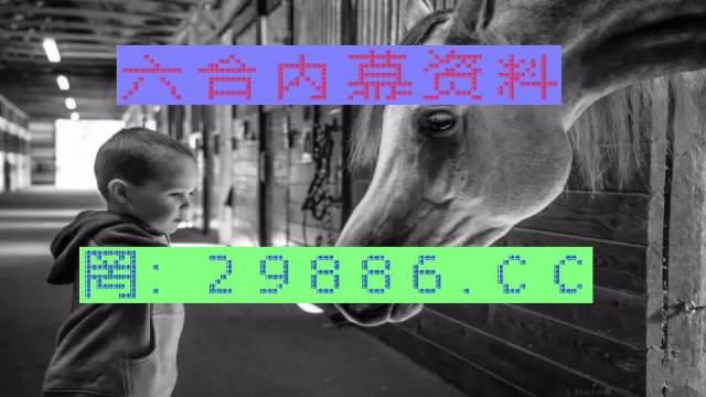 7777788888四肖四码管家婆和和2025澳门特马网站www构建解答、专家解读解释与落实与警惕虚假宣传-全面释义、专家解读解释与落实