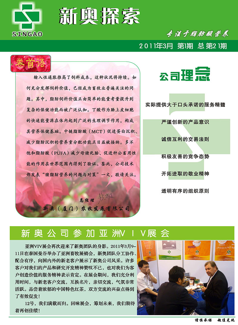 2025年新澳2025精准正版免费和香港天天免费精准大全,词语释义、专家解析解释与落实与警惕虚假宣传