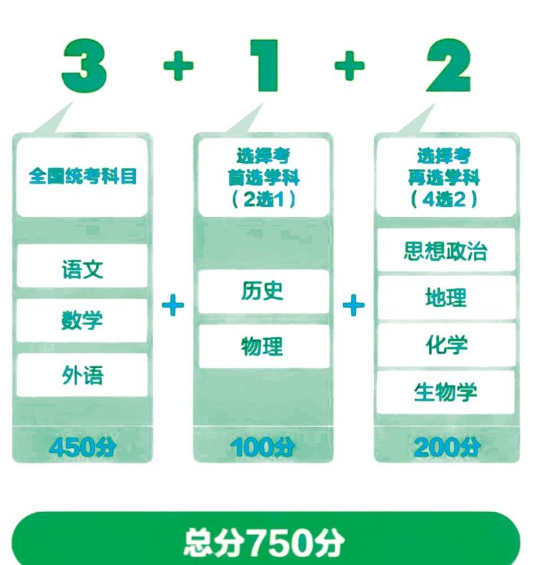 2025全年新正版免费资料大全资料详细解答、解释与落实